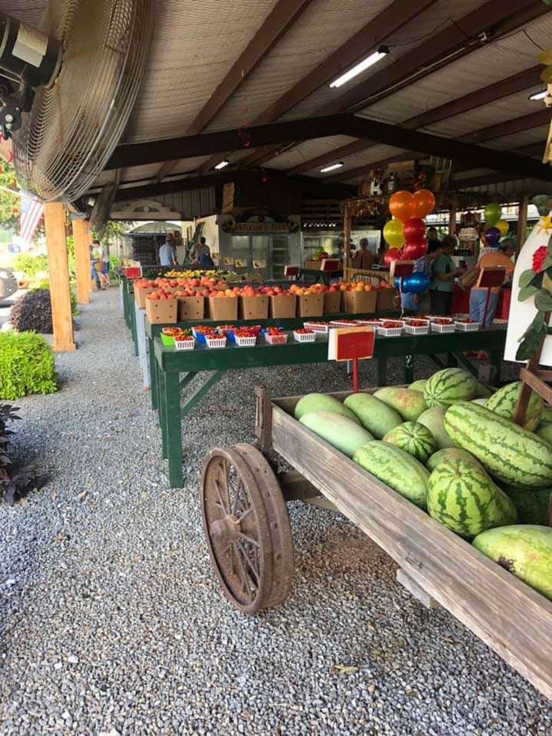 Anderson's Farm- photo 11